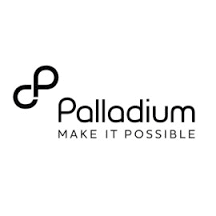  Palladium
