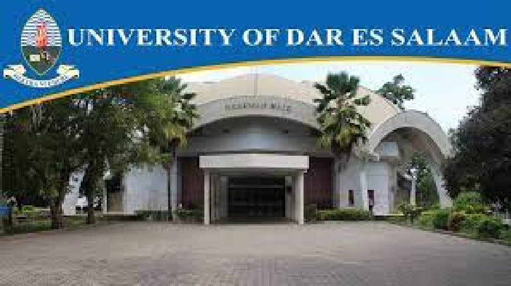 UDSM Postgraduate Course offered