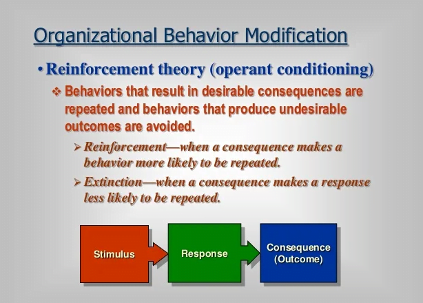 Organizational Behavior Modification