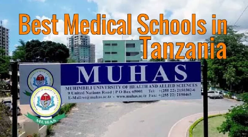 Medical Universities in Tanzania 1 Medical Universities