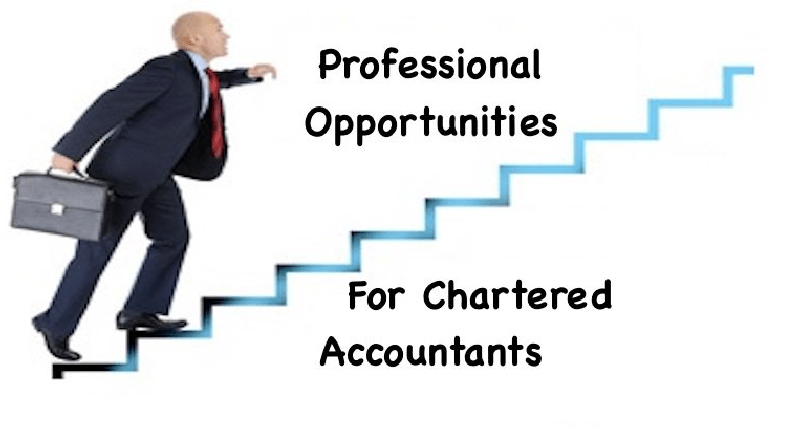 qualified accountants