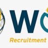 Worldwide Recruitment Solutions Tanzania(WRS)