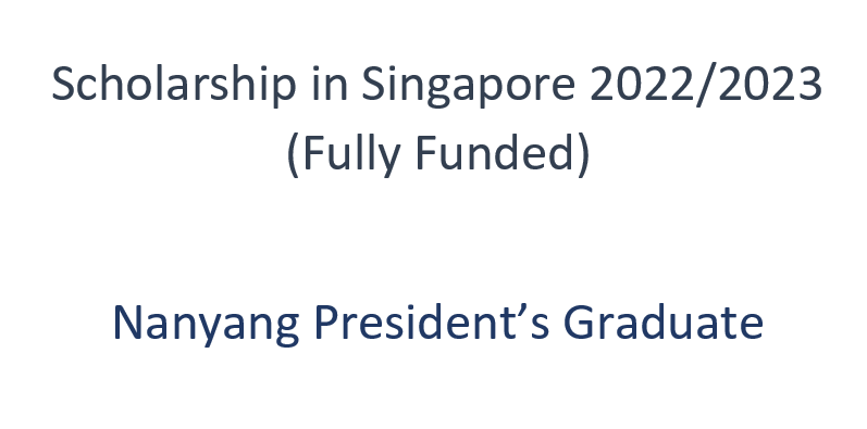 Scholarship in Singapore