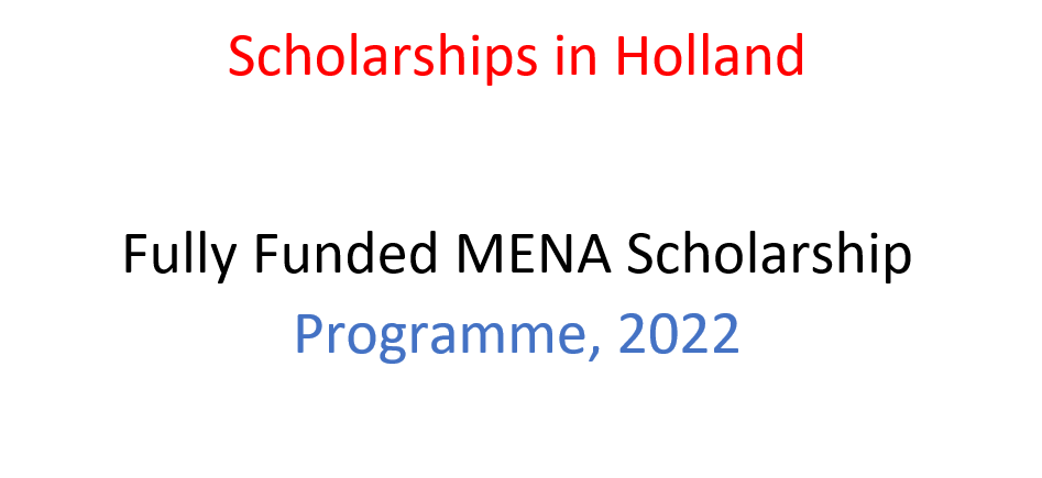 Scholarships in Holland