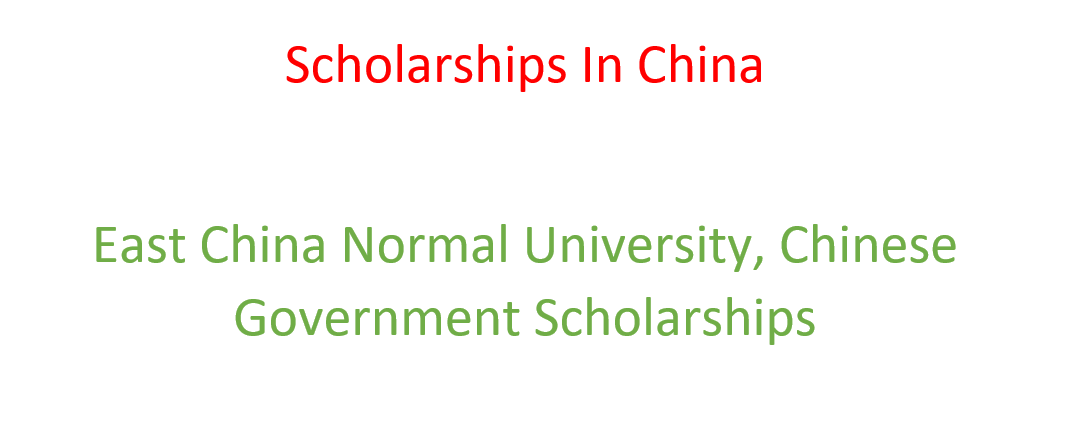 scholarships in china