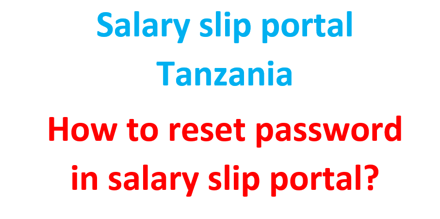 Salary slip portal Tanzania