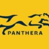 Panthera