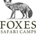 Foxes Safari Camps