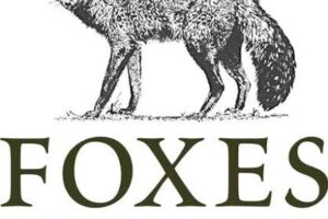 Foxes Safari Camps